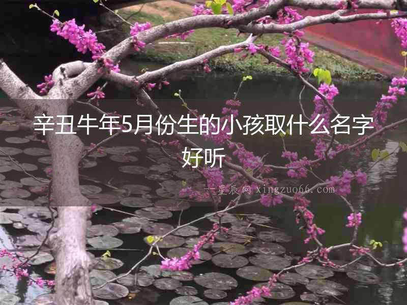 辛丑牛年5月份生的小孩取什么名字好聽(tīng)