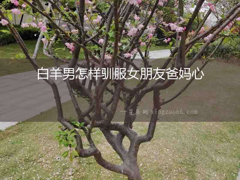 白羊男怎樣馴服女朋友爸媽心