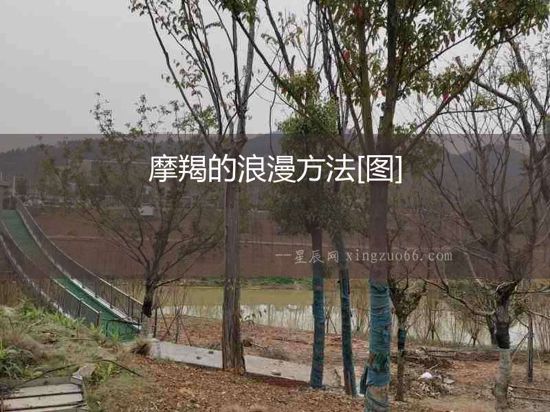 摩羯的浪漫方法[圖]