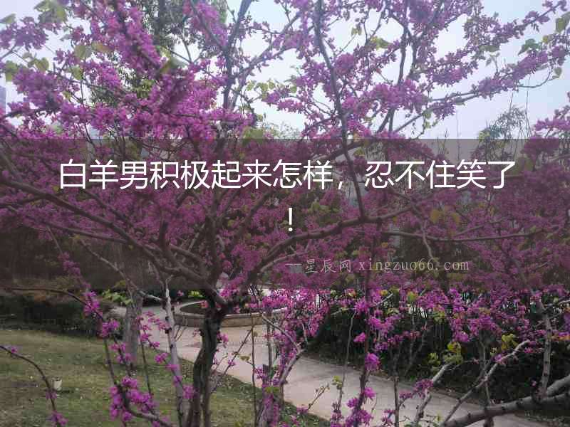 白羊男積極起來怎樣，忍不住笑了！