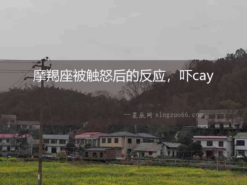 摩羯座被觸怒后的反應，嚇cay