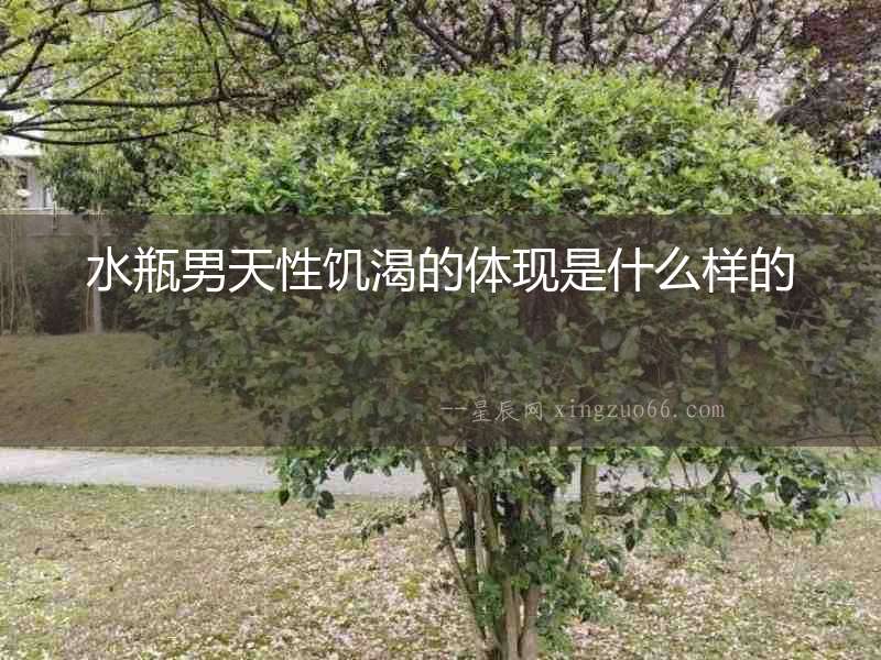 水瓶男天性饑渴的體現是什么樣的