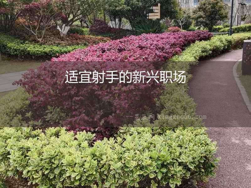適宜射手的新興職場