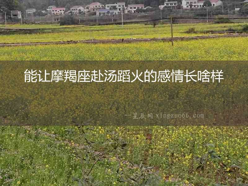 能讓摩羯座赴湯蹈火的感情長啥樣