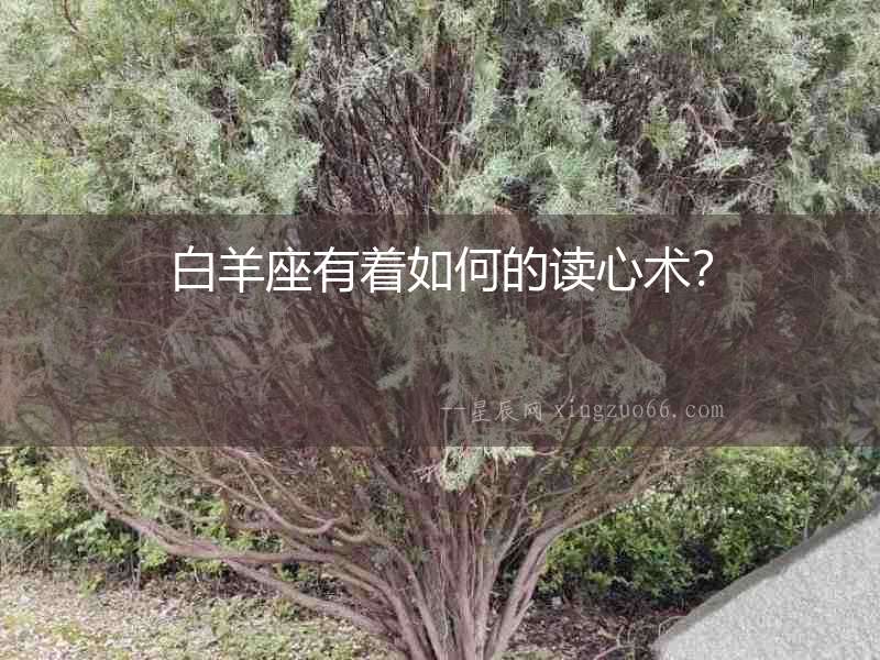 白羊座有著如何的讀心術(shù)？