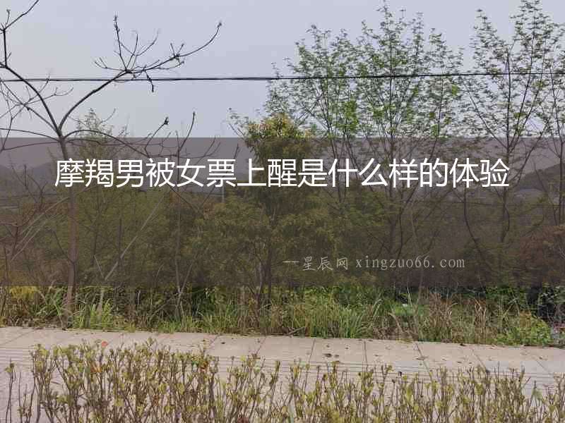 摩羯男被女票上醒是什么樣的體驗(yàn)