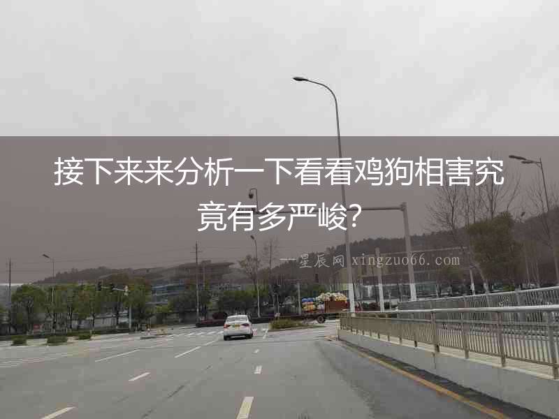 接下來來分析一下看看雞狗相害究竟有多嚴峻？