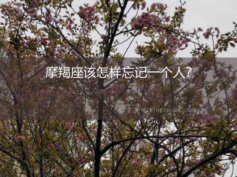 摩羯座該怎樣忘記一個人？