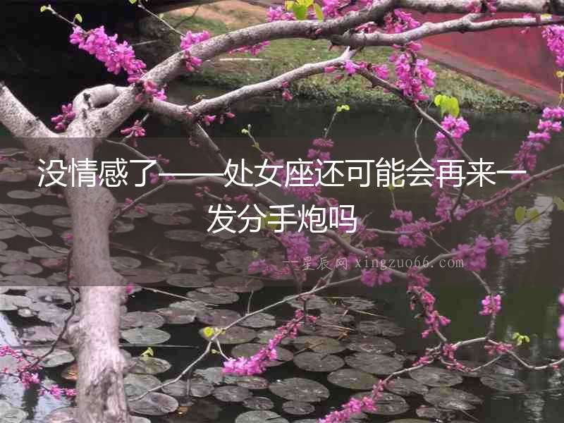 沒(méi)情感了——處女座還可能會(huì)再來(lái)一發(fā)分手炮嗎