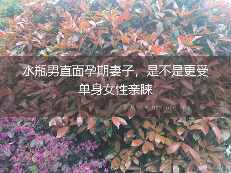 水瓶男直面孕期妻子，是不是更受單身女性親睞