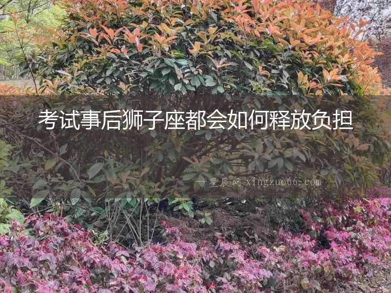 考試事后獅子座都會如何釋放負擔(dān)