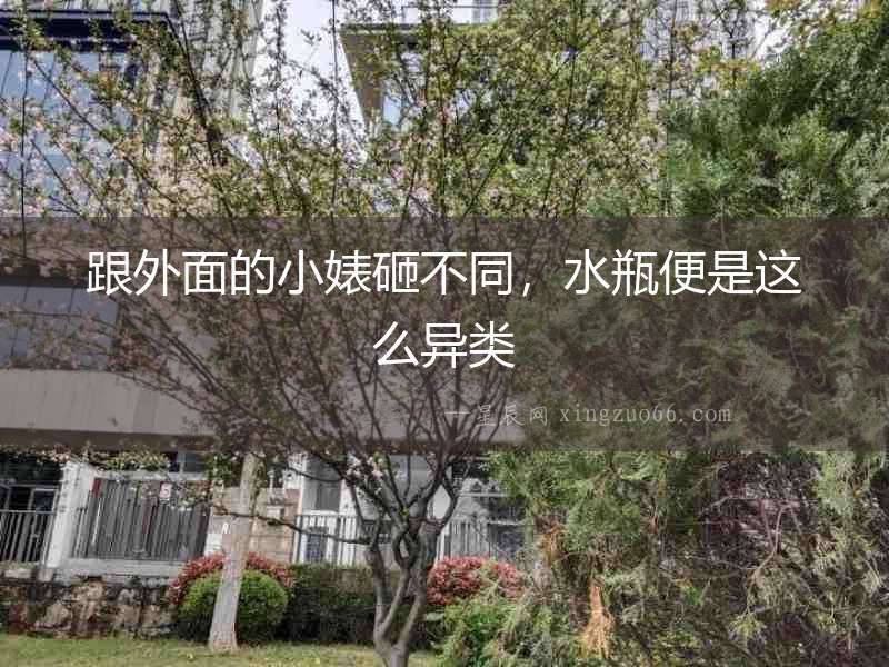 跟外面的小婊砸不同，水瓶便是這么異類