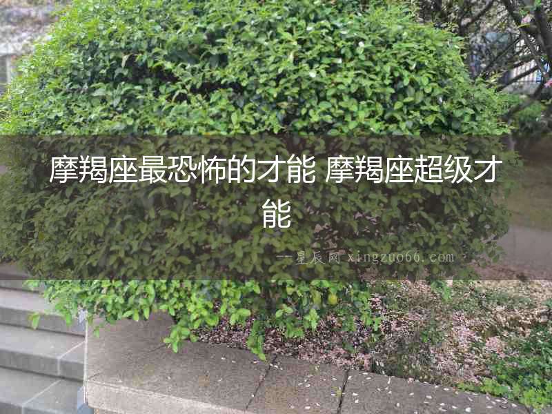 摩羯座最恐怖的才能 摩羯座超級才能