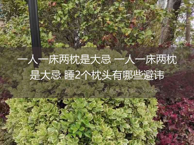 一人一床兩枕是大忌 一人一床兩枕是大忌 睡2個枕頭有哪些避諱