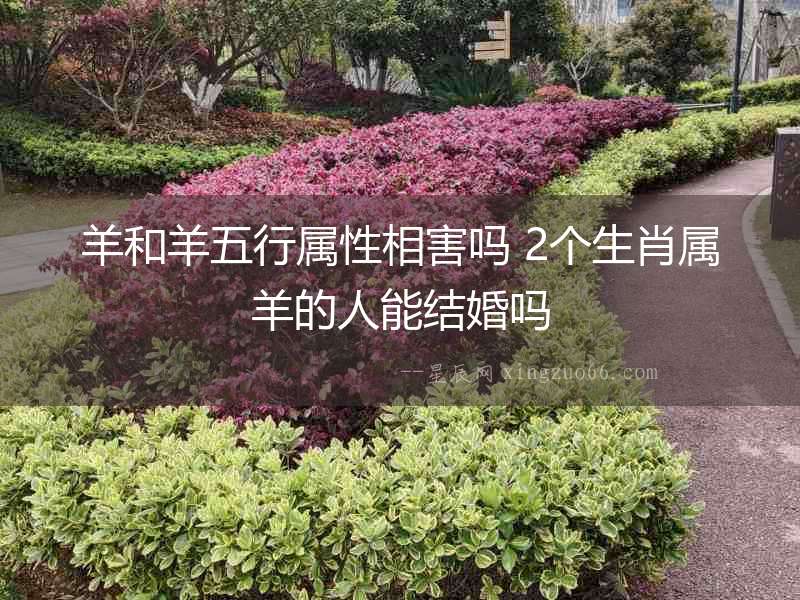 羊和羊五行屬性相害嗎 2個生肖屬羊的人能結婚嗎