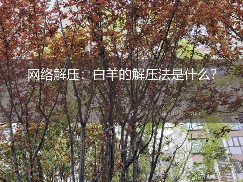 網絡解壓：白羊的解壓法是什么？