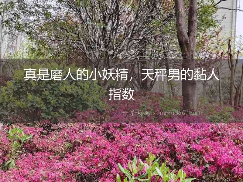 真是磨人的小妖精，天秤男的黏人指數(shù)