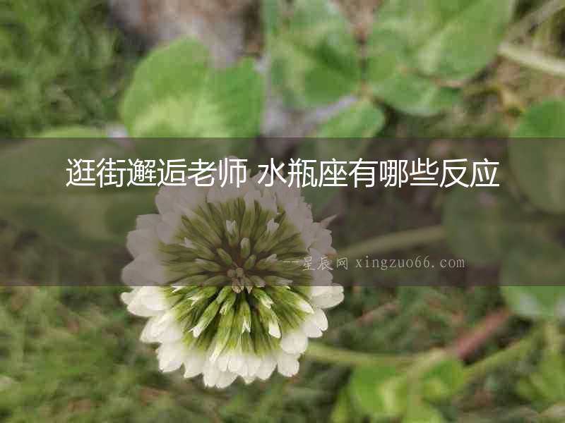 逛街邂逅老師 水瓶座有哪些反應(yīng)