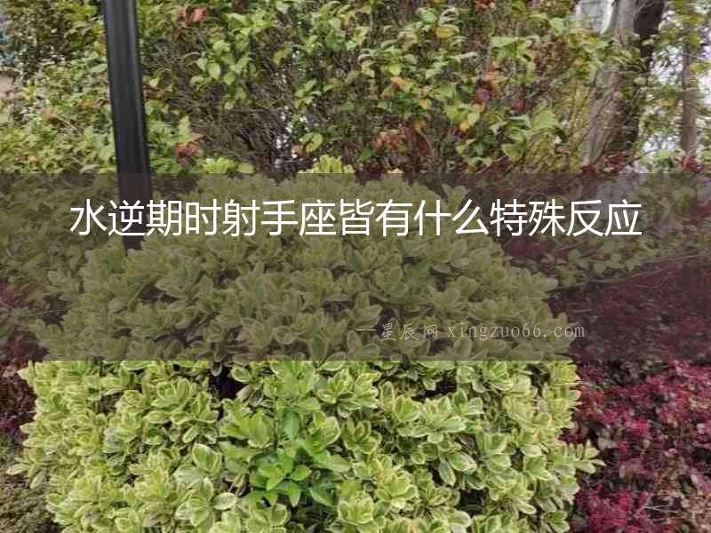 水逆期時射手座皆有什么特殊反應
