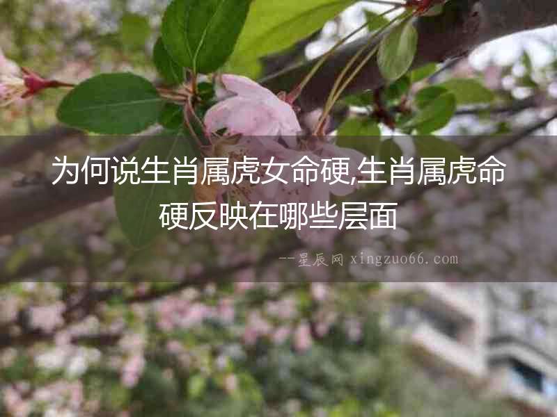 為何說生肖屬虎女命硬,生肖屬虎命硬反映在哪些層面