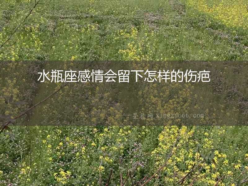 水瓶座感情會留下怎樣的傷疤