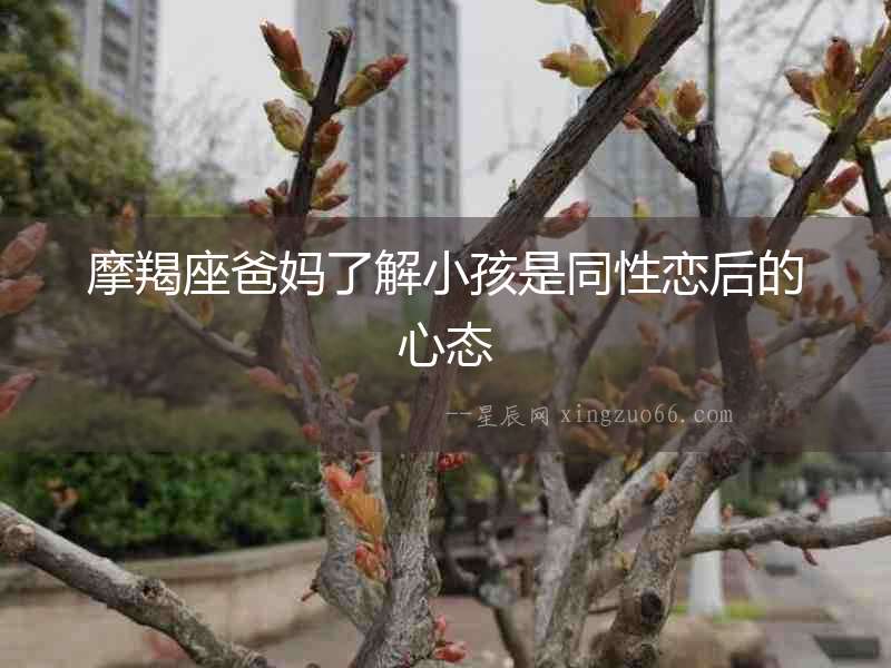 摩羯座爸媽了解小孩是同性戀后的心態