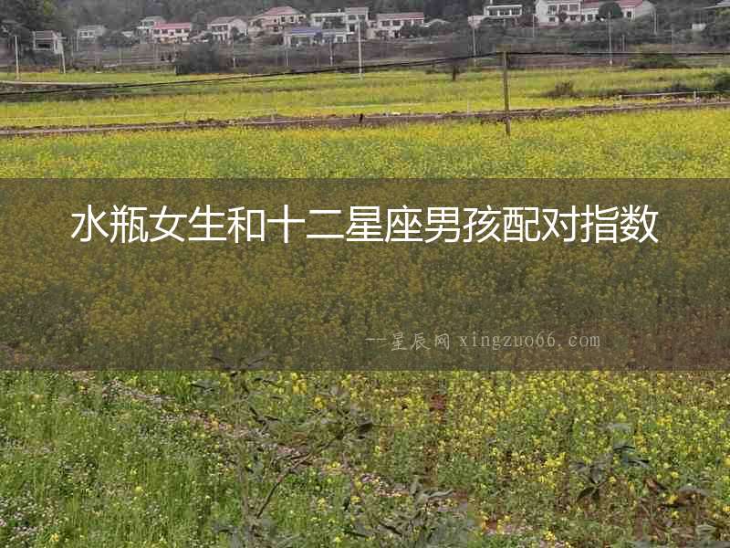 水瓶女生和十二星座男孩配對(duì)指數(shù)