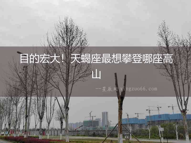 目的宏大！天蝎座最想攀登哪座高山