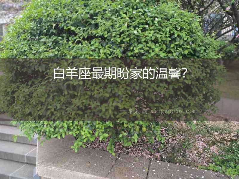 白羊座最期盼家的溫馨？