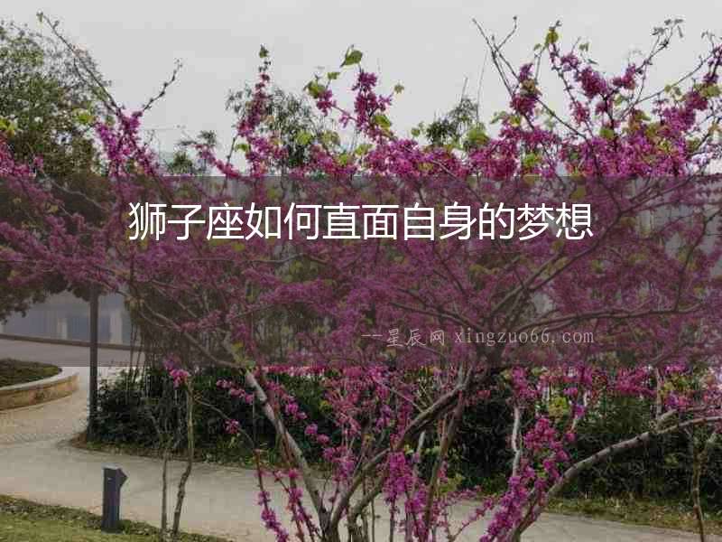 獅子座如何直面自身的夢(mèng)想