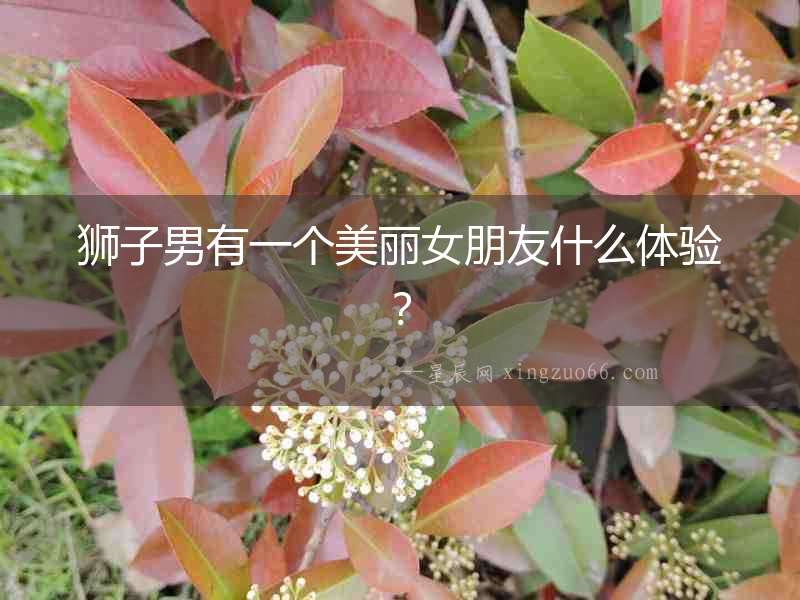 獅子男有一個美麗女朋友什么體驗？
