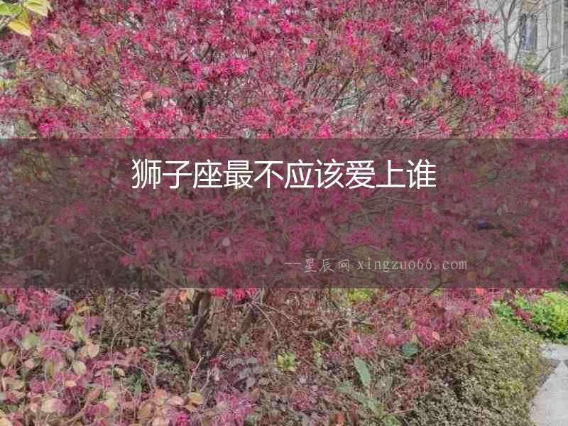 獅子座最不應(yīng)該愛(ài)上誰(shuí)