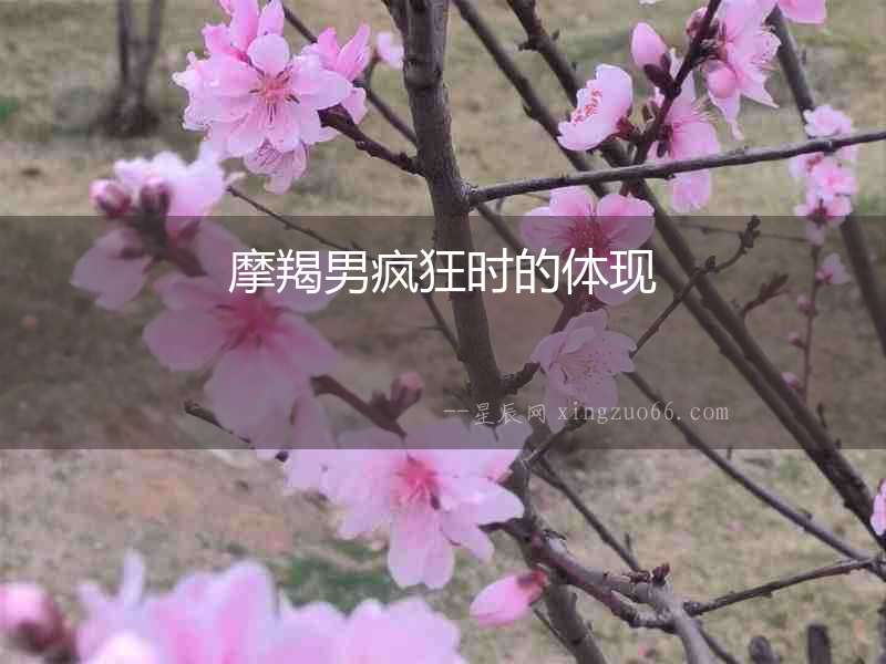 摩羯男瘋狂時的體現