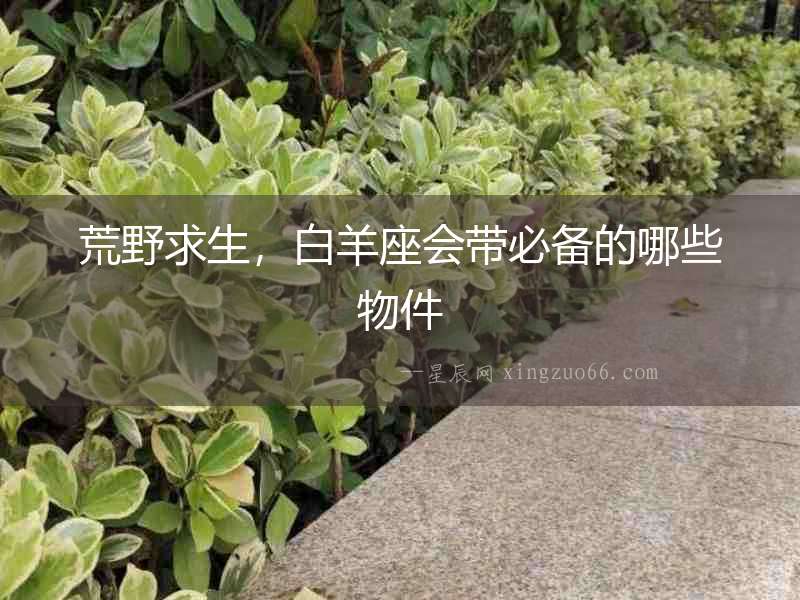 荒野求生，白羊座會帶必備的哪些物件