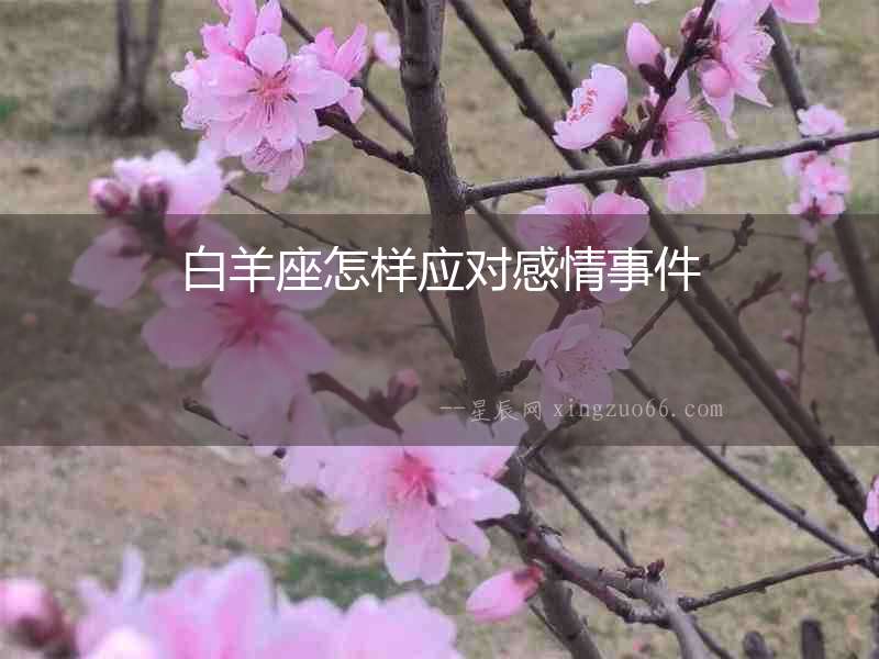 白羊座怎樣應對感情事件