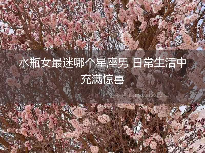 水瓶女最迷哪個星座男 日常生活中充滿驚喜