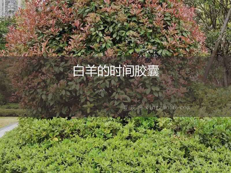 白羊的時間膠囊