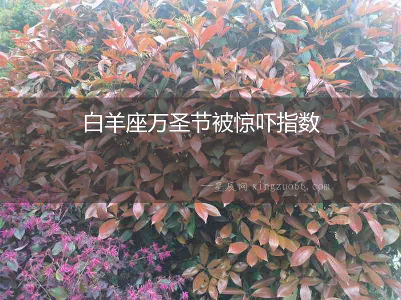 白羊座萬圣節(jié)被驚嚇指數(shù)