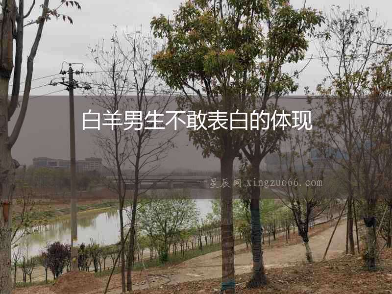 白羊男生不敢表白的體現