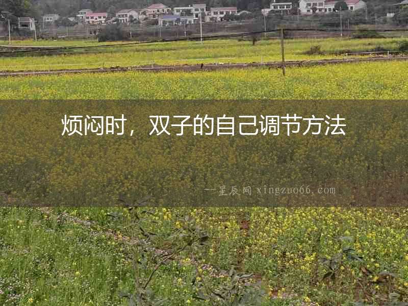 煩悶時，雙子的自己調(diào)節(jié)方法