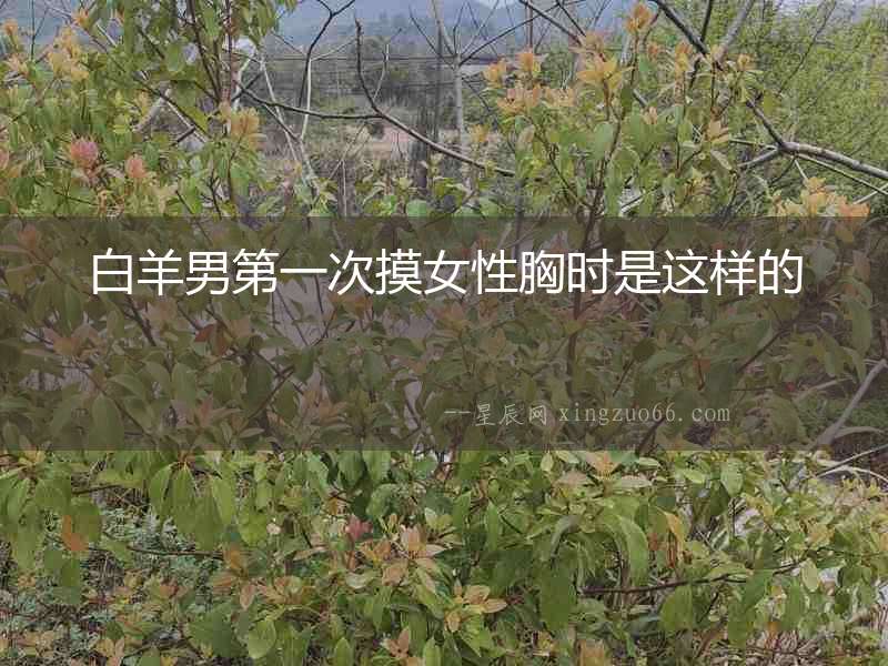 白羊男第一次摸女性胸時(shí)是這樣的