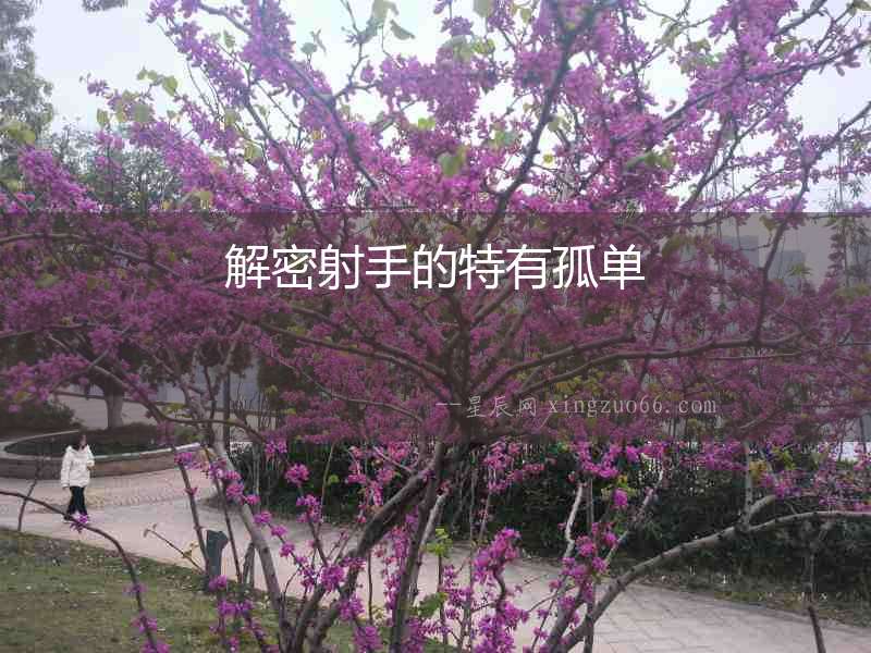解密射手的特有孤單