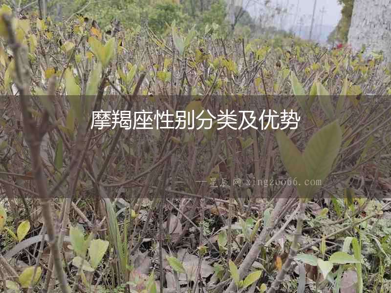 摩羯座性別分類及優(yōu)勢