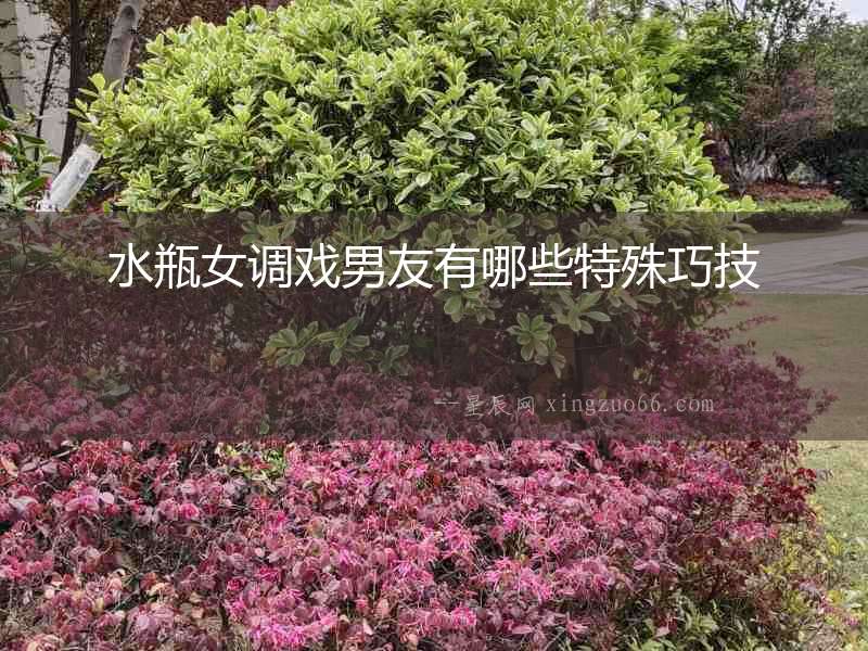 水瓶女調(diào)戲男友有哪些特殊巧技