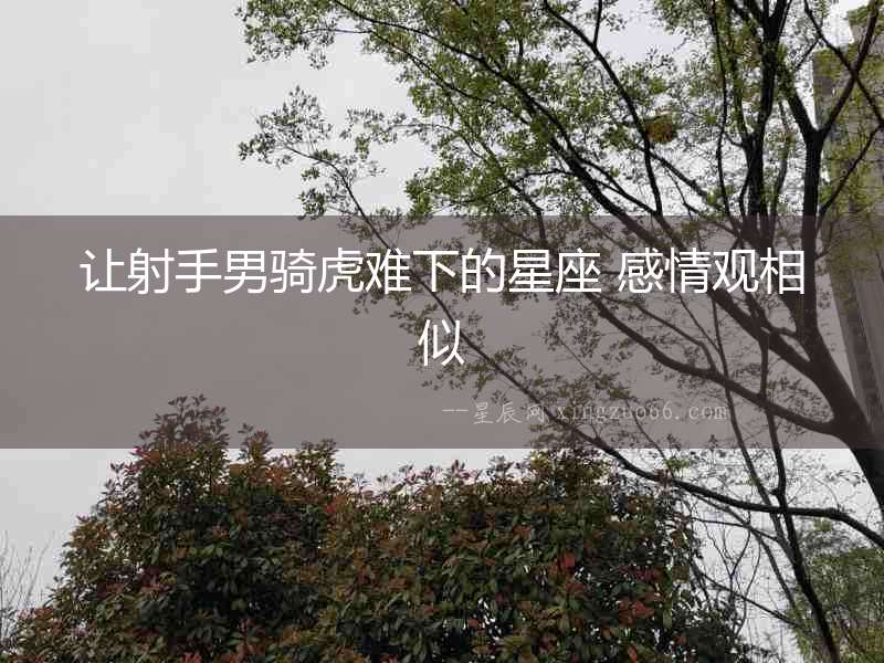 讓射手男騎虎難下的星座 感情觀相似