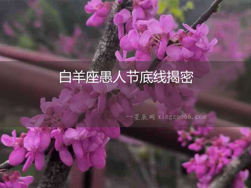 白羊座愚人節(jié)底線揭密