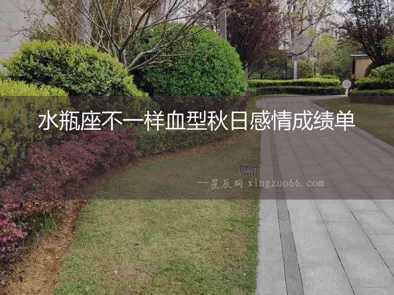 水瓶座不一樣血型秋日感情成績(jī)單