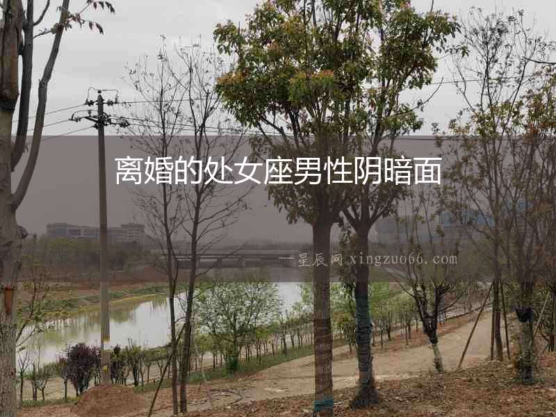 離婚的處女座男性陰暗面