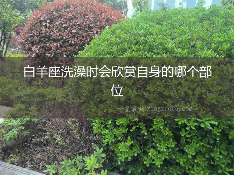 白羊座洗澡時會欣賞自身的哪個部位