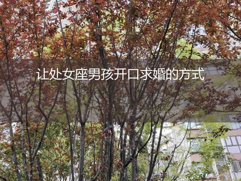 讓處女座男孩開(kāi)口求婚的方式